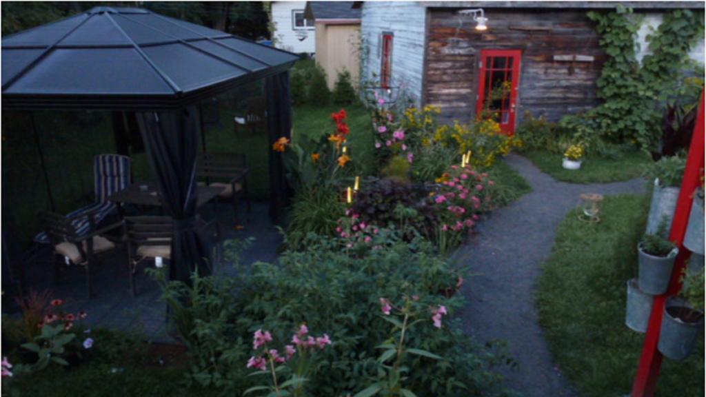 Gite Aux Goglus Saint-Jean-des Piles Exteriör bild